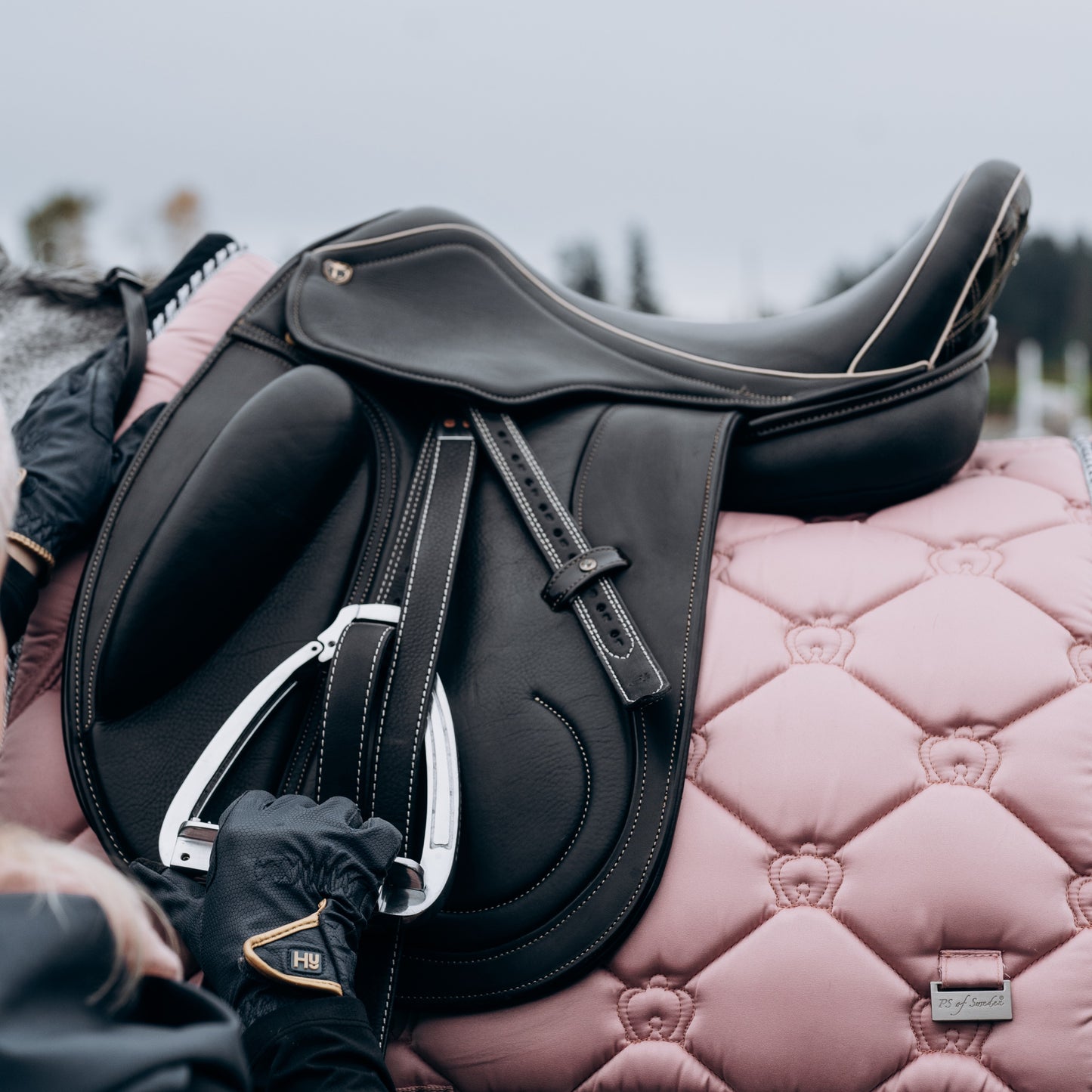 Livingston Dressage Saddle