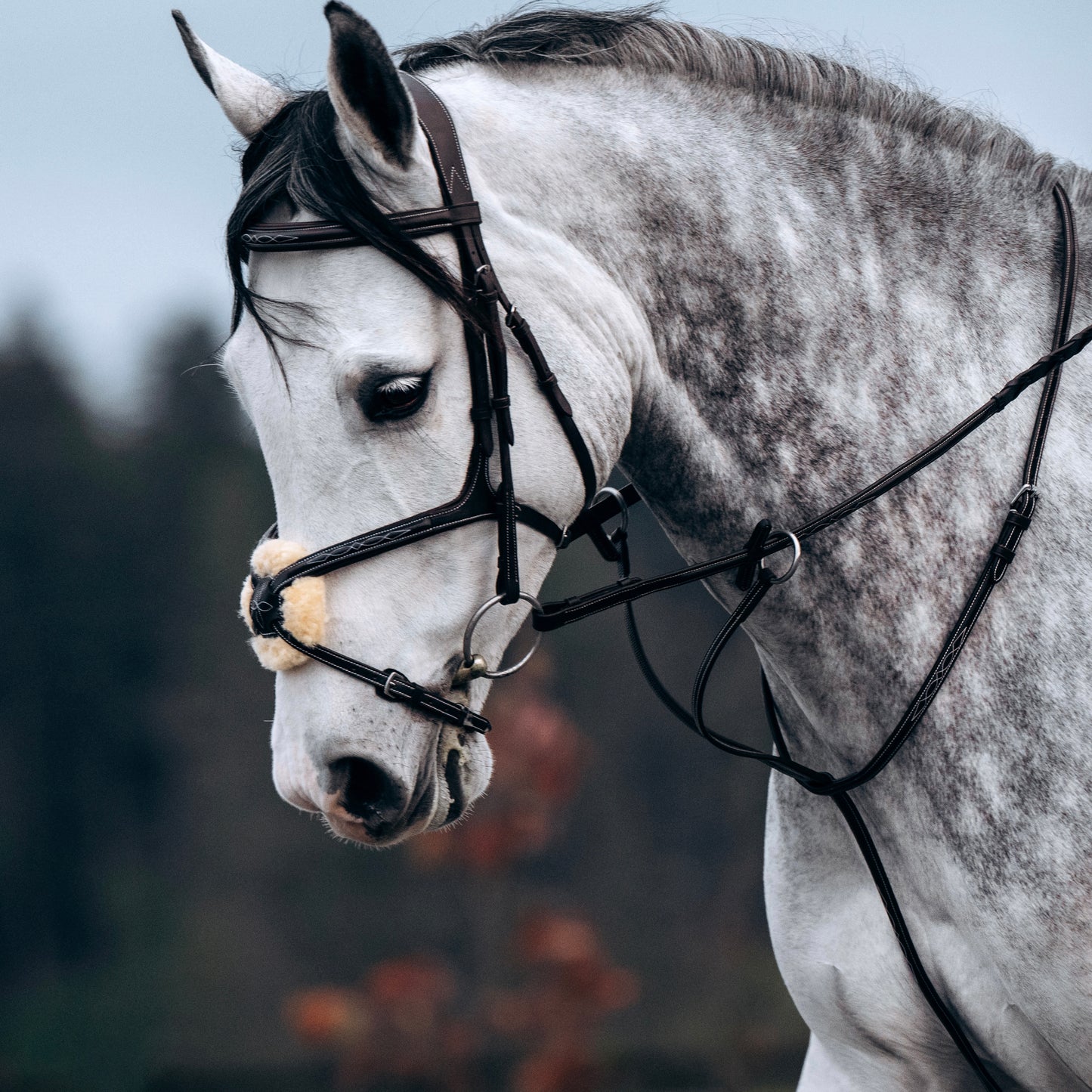 Livre Running Martingale