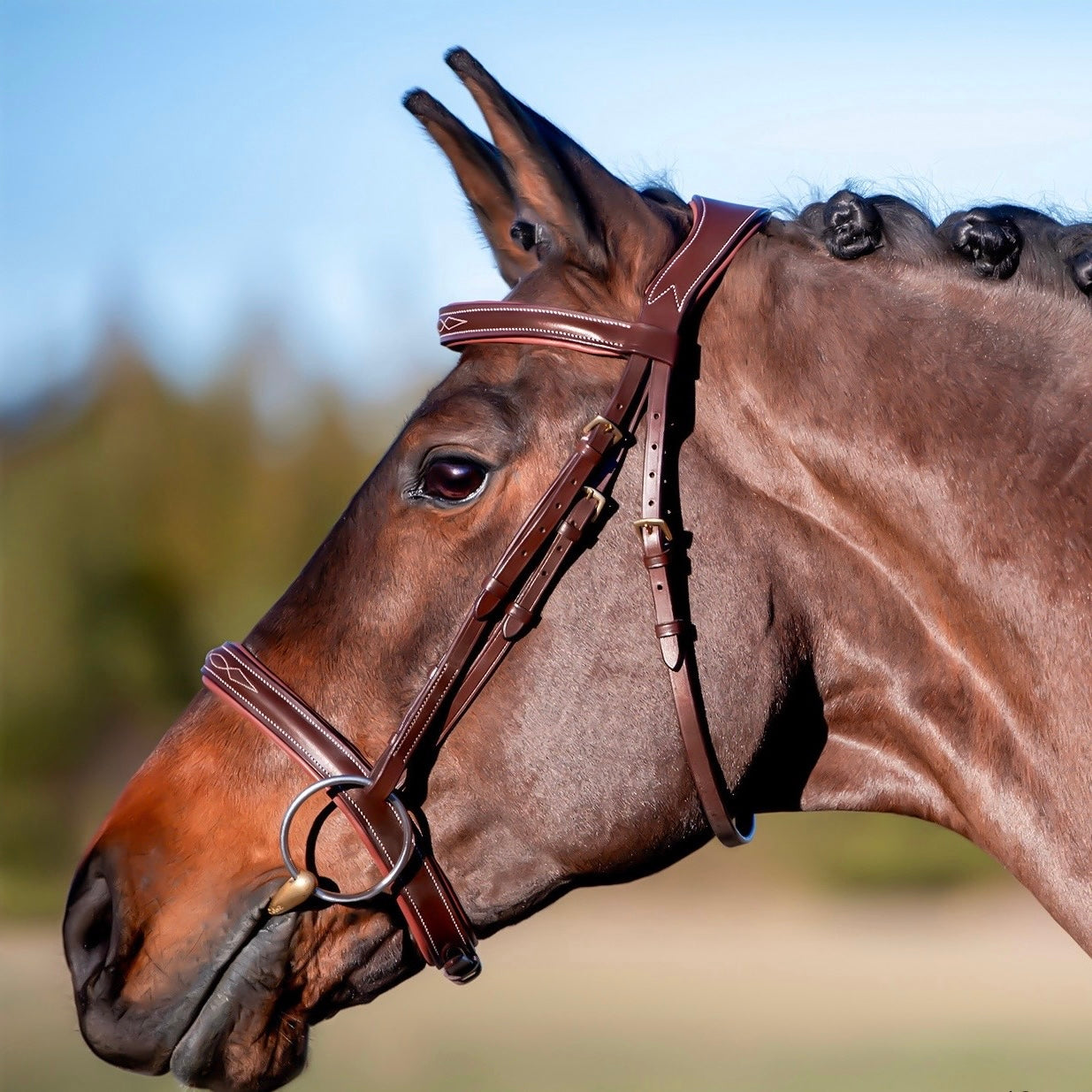 Lavelle Hunter/Jumper Monocrown Bridle