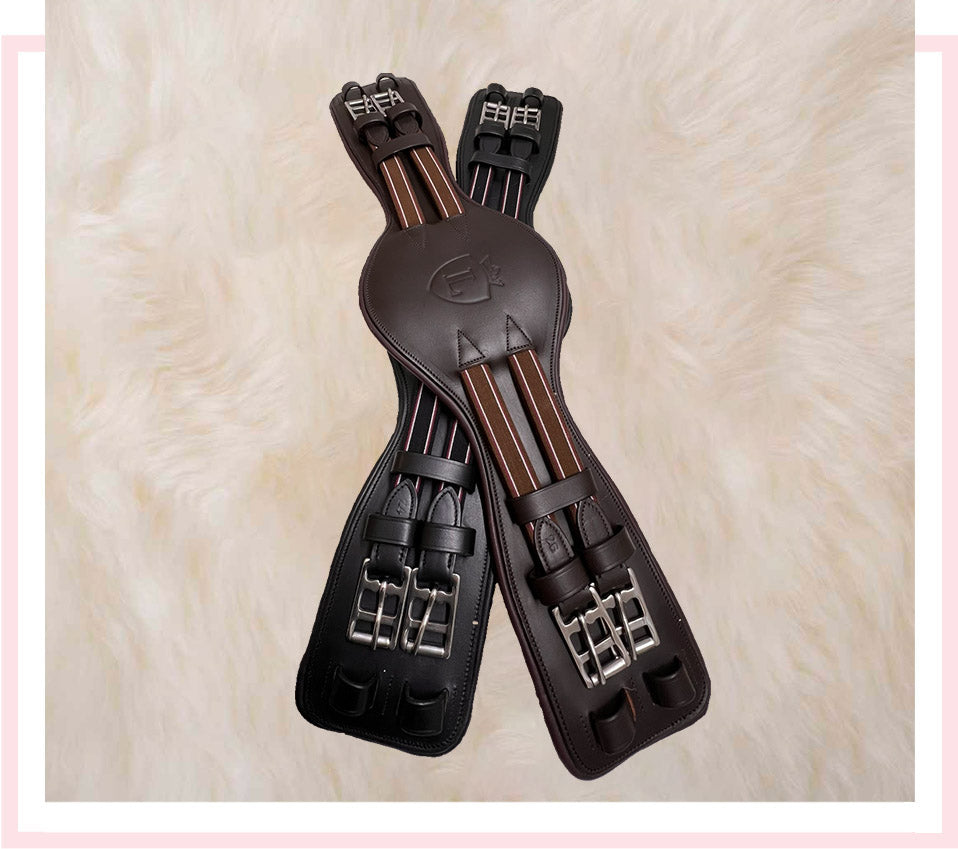 Levade Dressage Girth