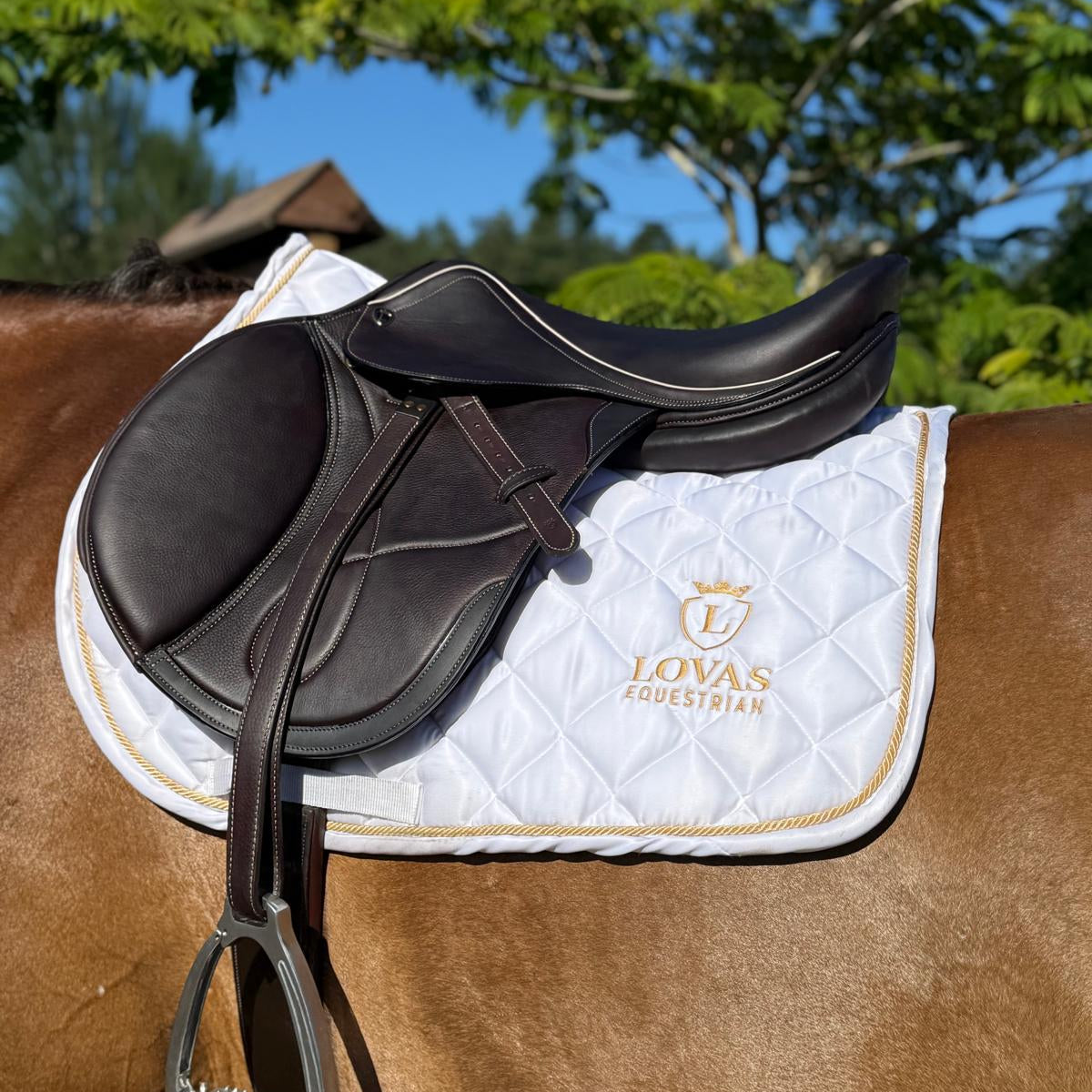 L’amour Jump Saddle