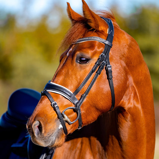 Lavish Monocrown Dressage Bridle