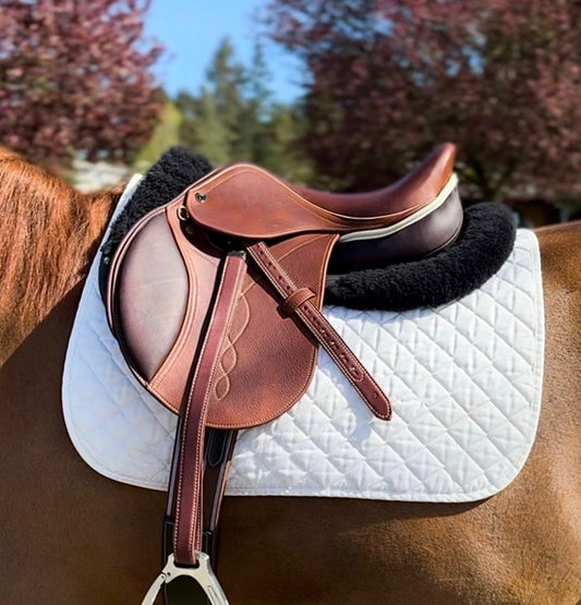 The Ultimate Guide to Saddle Sizing: English vs. Western