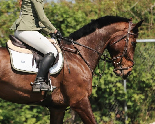 The Silent Suffering: How to Spot a Saddle That's Hurting Your Horse