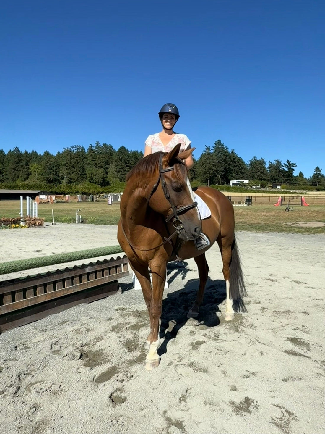 Beyond the Saddle: Katrina’s Holistic Approach to Horse & Rider Connection