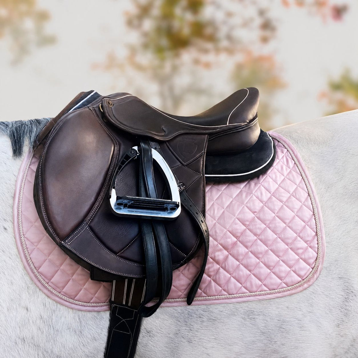 Lexis Jump Saddle