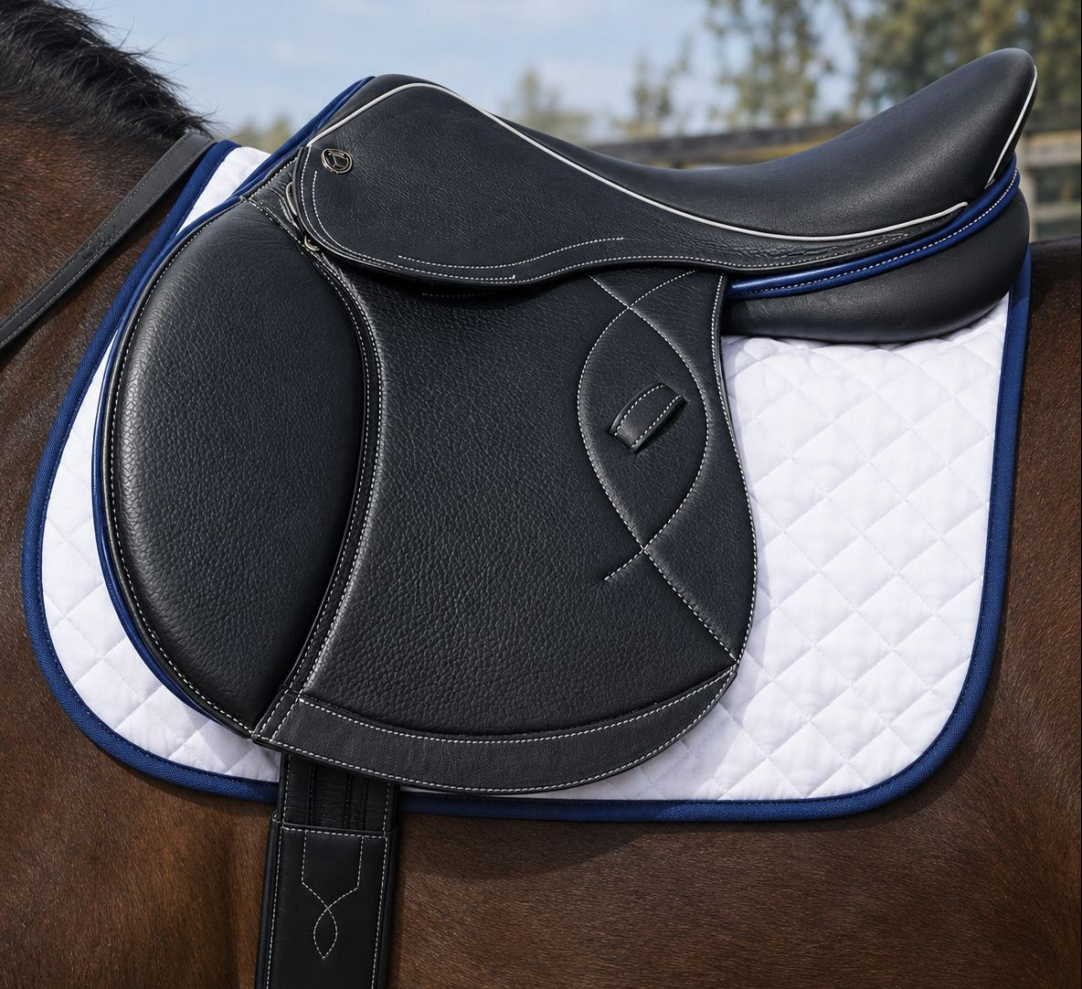 A close-up of a black leather horse saddle resting on a white quilted saddle pad with blue trim, shown on a brown horse outdoors.