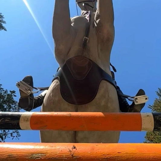 L’amont Stud Girth