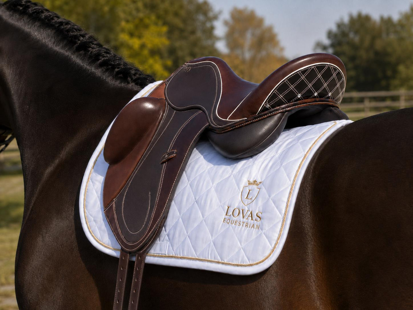 Livingston Dressage Saddle