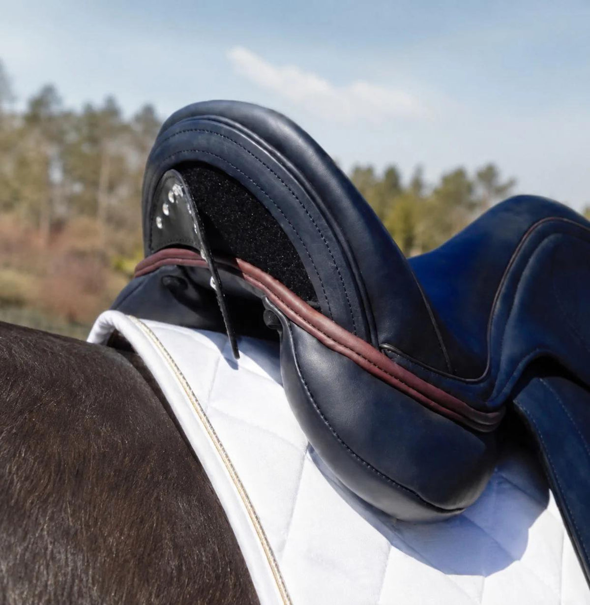 Lagos Dressage Saddle