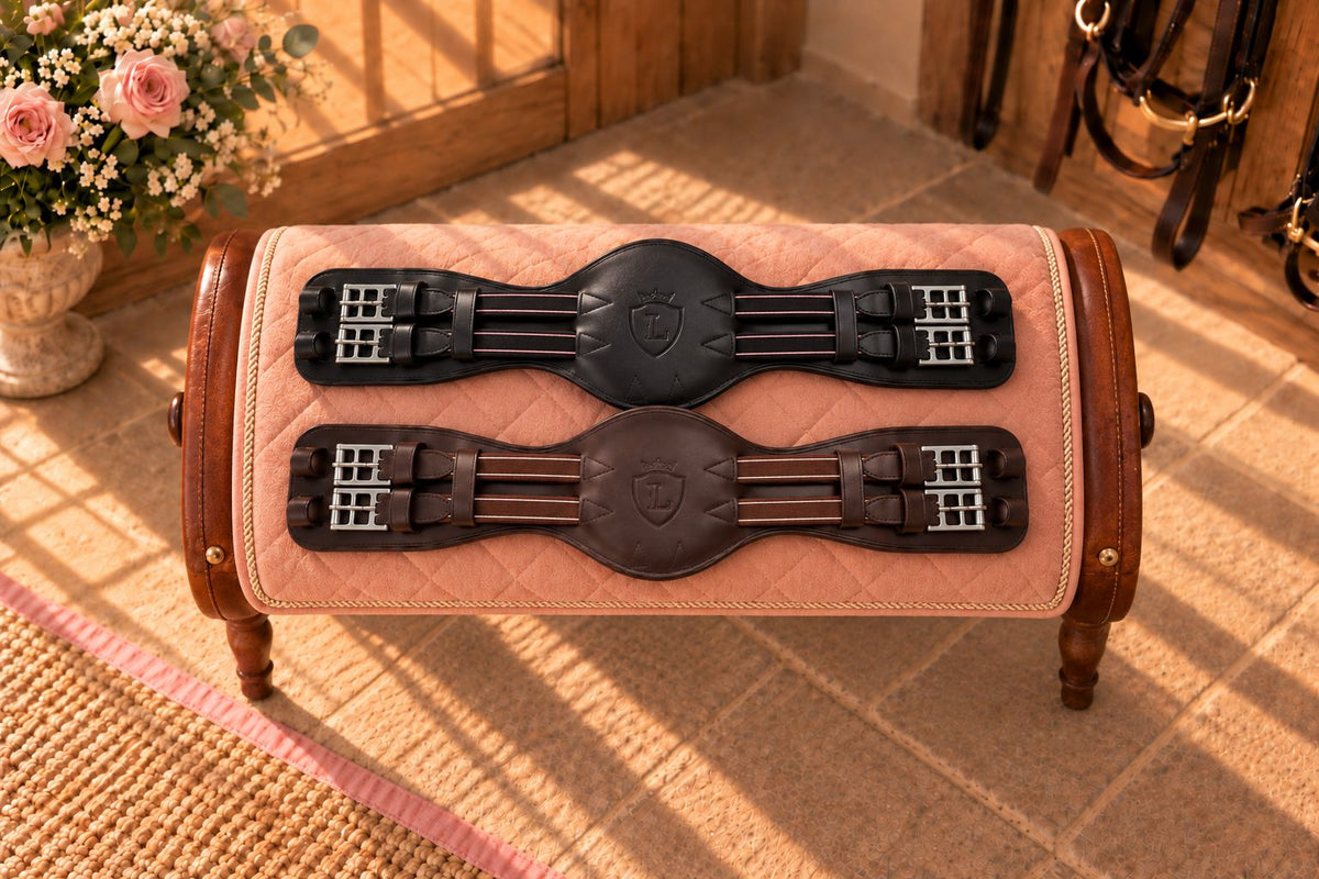 Levade Dressage Girth