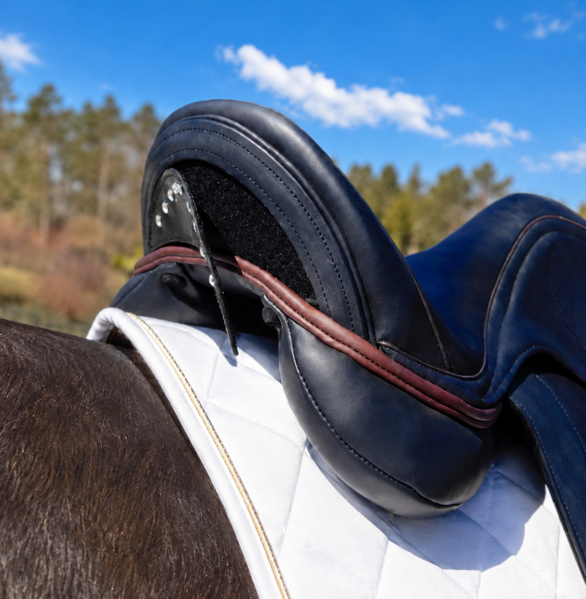 Lagos Dressage Saddle