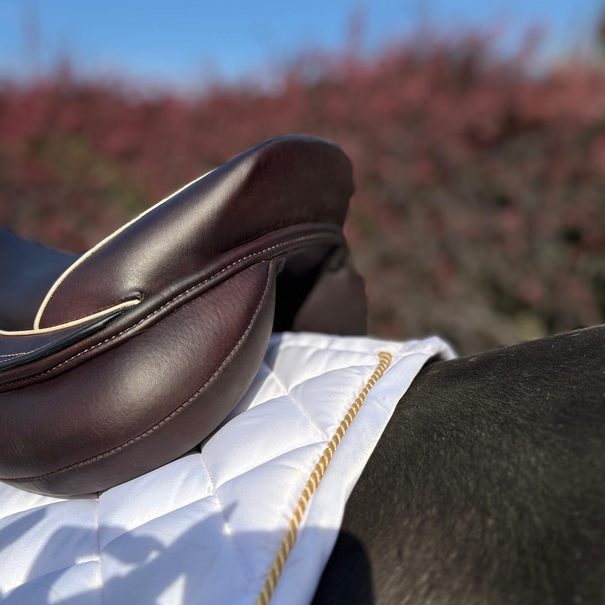 Laura Saddle Pony