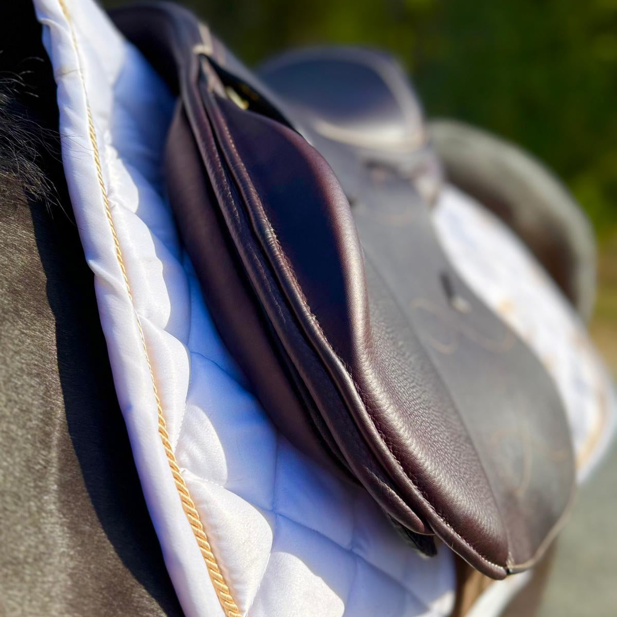 Laura Saddle Pony