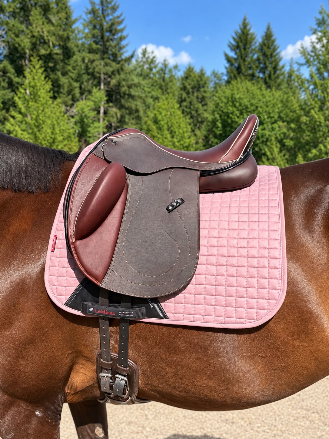 Livingston Dressage Saddle